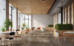 Woodpecker Office Grey Series