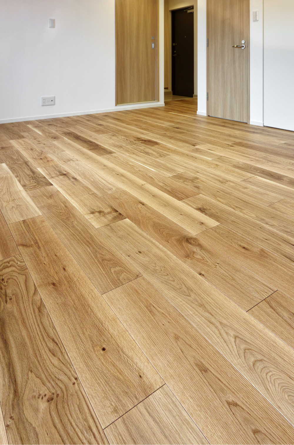 Wild 45 Construction Example 6