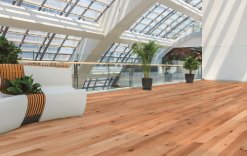 Wild direct stick long