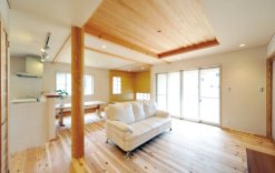 Passport wall non-combustible, semi-non-combustible solid