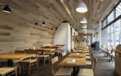 Woodpecker non-combustible wall antique