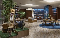 Wild solid direct stick oak