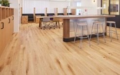 Woodpecker Office Japan-select