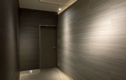 Woodpecker non-combustible wallstone