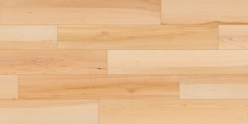 PNLR-3 (Hard maple/Clear)