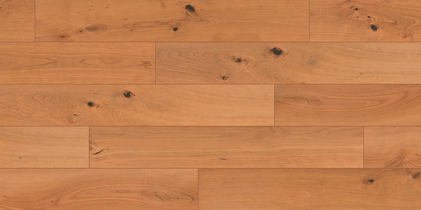 PNLR-4 (American cherry/Clear)