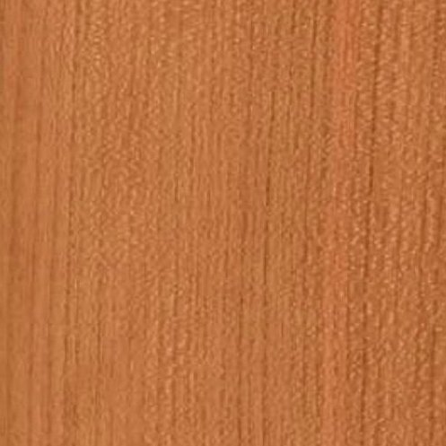 WFL-304 (American cherry)