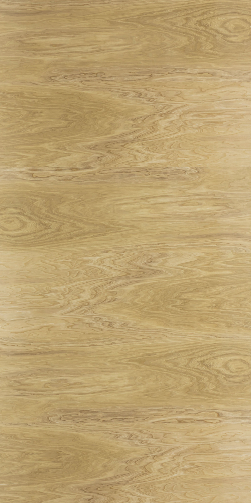 WFPL-208 (Castor aralia/horizontal sticking)