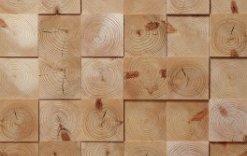 Woodpecker growth ring