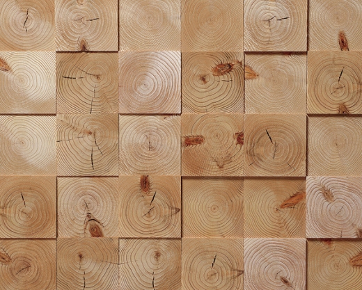 Woodpecker growth ring