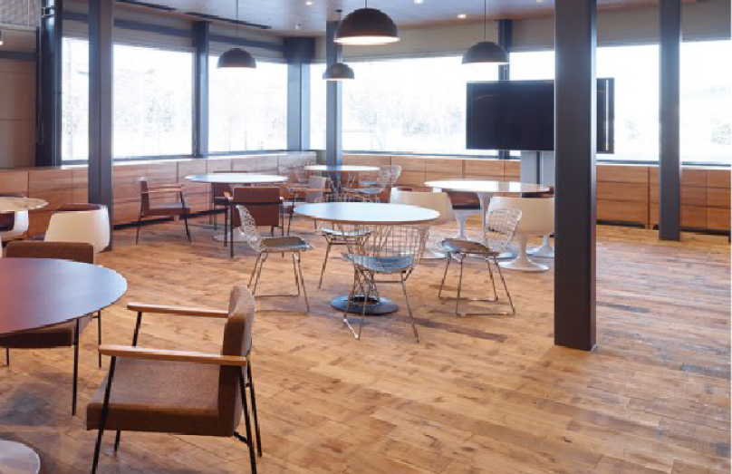 Wild solid oak More Wild